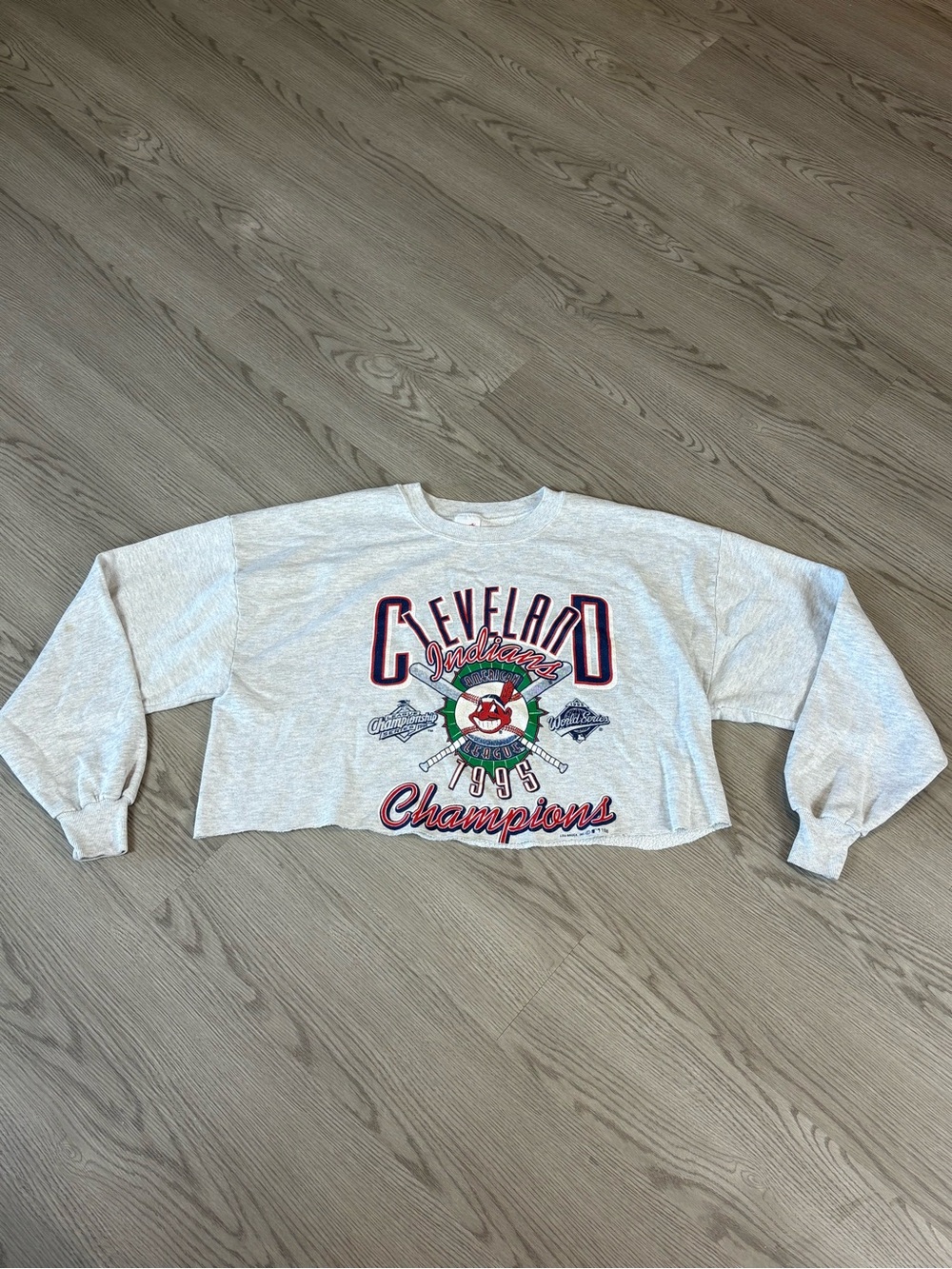 Jerzees Gray Cropped Crewneck Sweatshirt with Multicolor Graphics